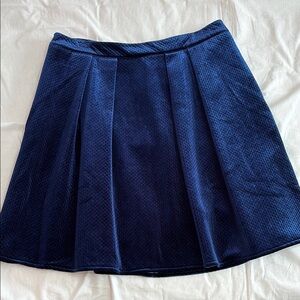 🎆 Elegant Velvet Navy Blue Skirt ON SALE!